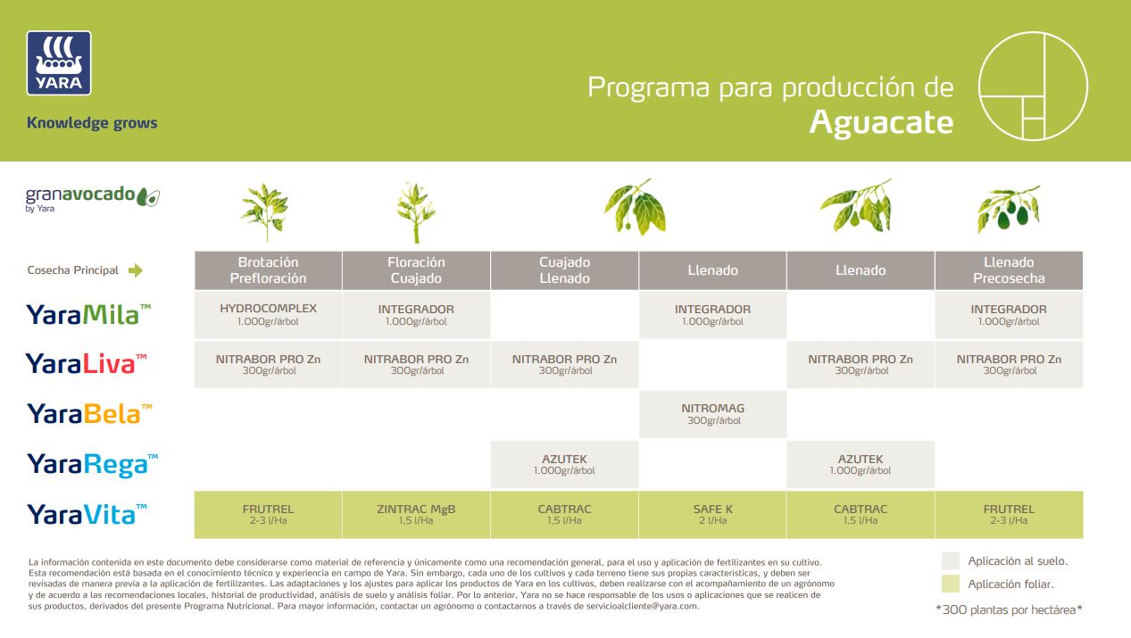 Plan Nutricional Aguacate en Producción