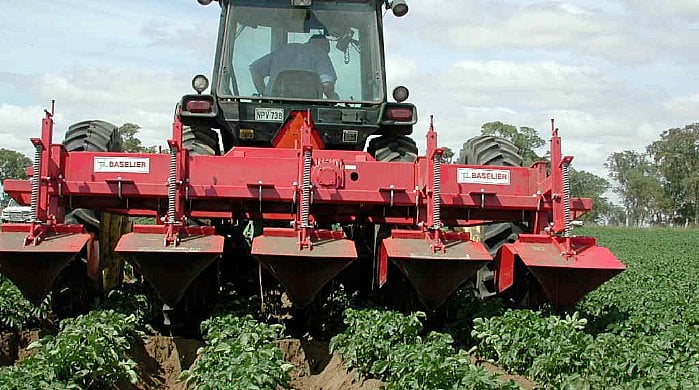 Una fertilización de cobertera se puede incorporar durante el aporque de las papas.