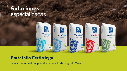 Portafolio fertirriego