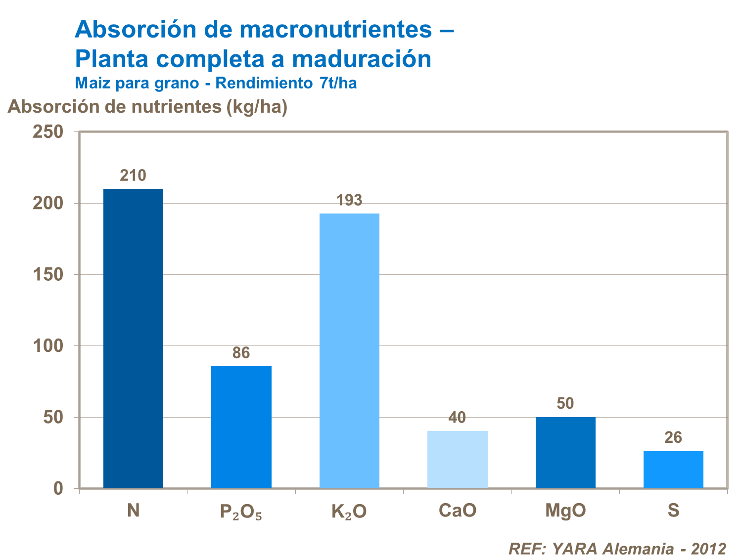 Absorción de macronutrientes
