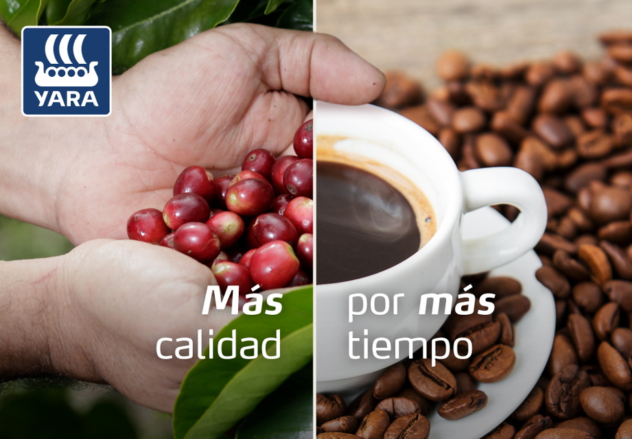 café