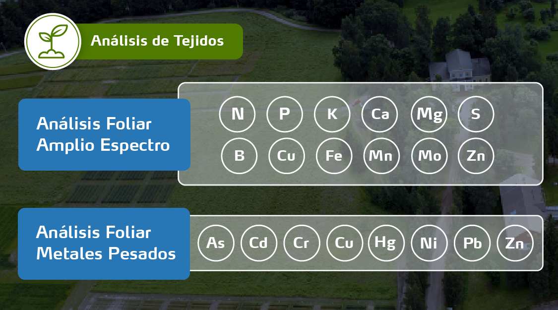 Análisis de tejidos