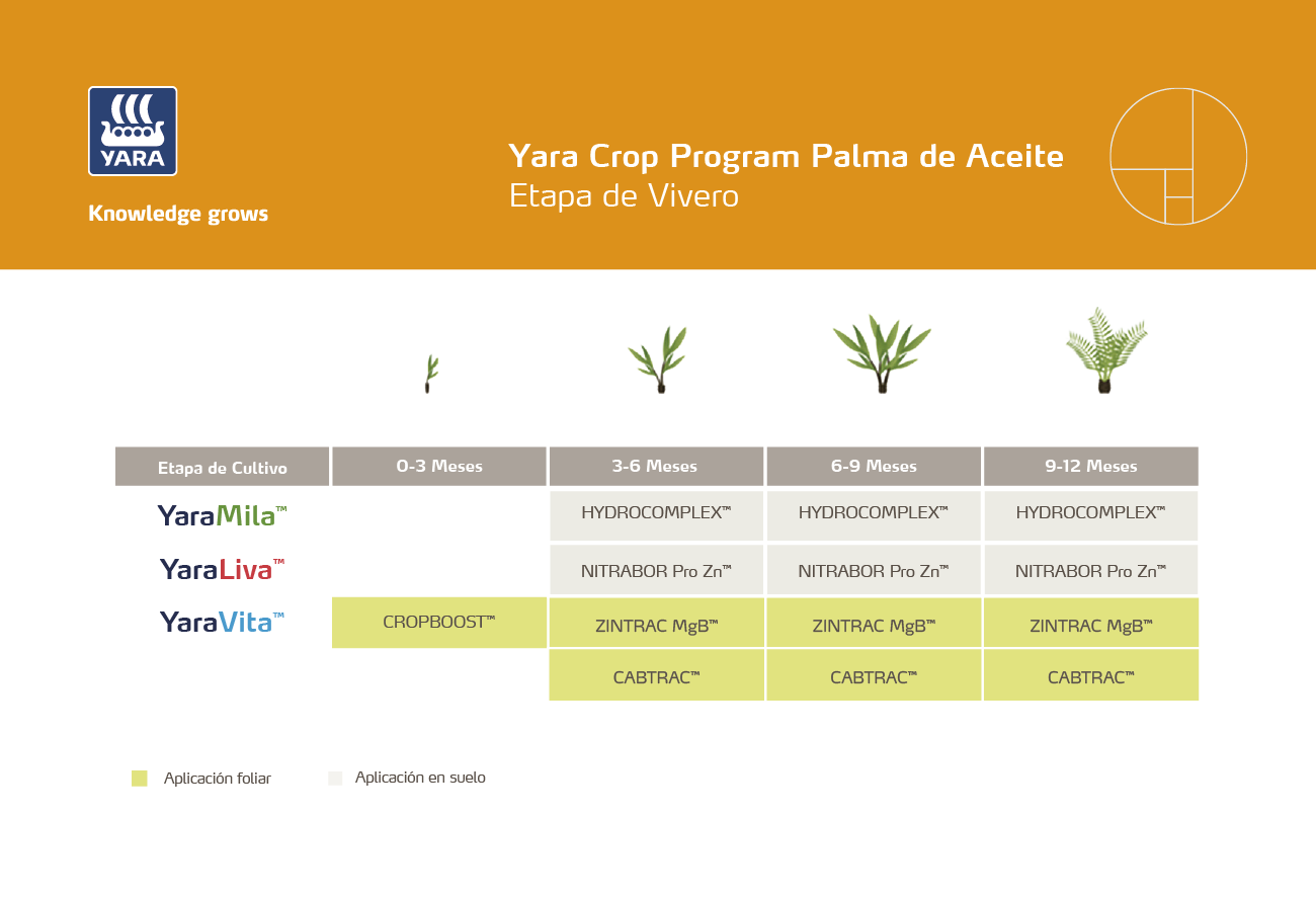 Plan Nutricional etapa Vivero